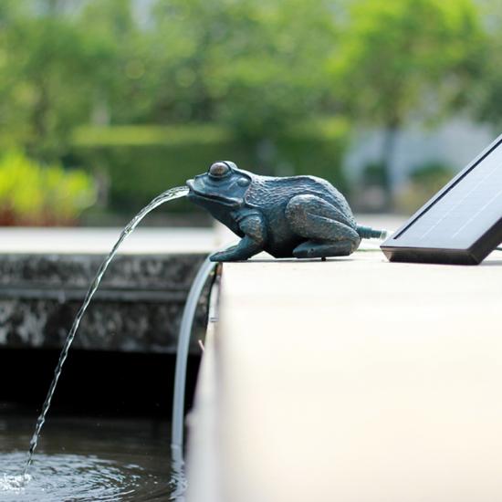 animal fountain