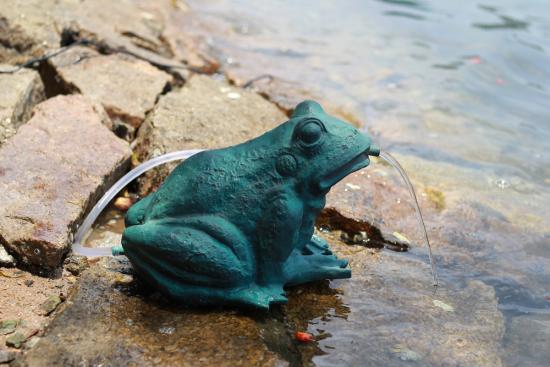 Frog Fountain Spitter